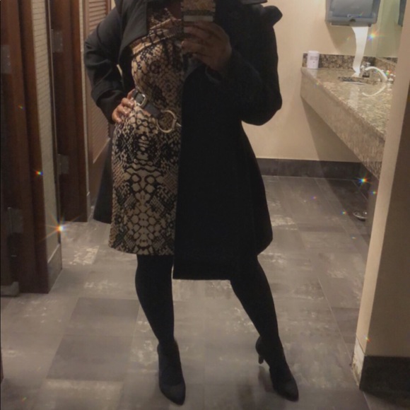 Meet your Posher, Brandy - Picture 3 of 14